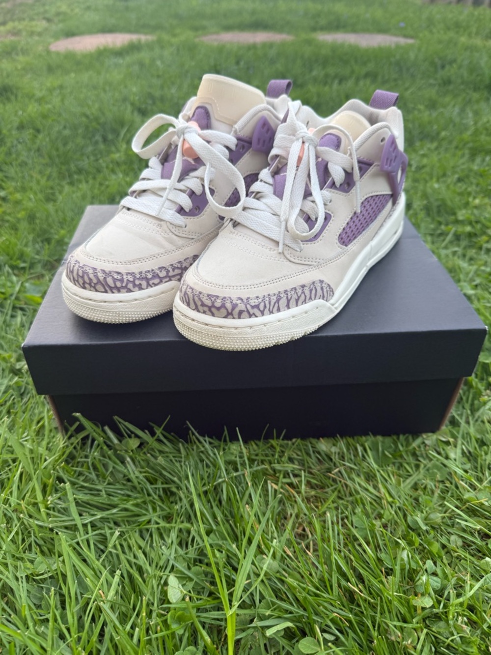 Jordan Spizike Low